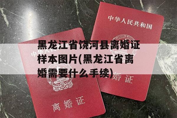 黑龙江省饶河县离婚证样本图片(黑龙江省离婚需要什么手续)