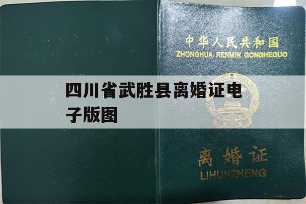 四川省武胜县离婚证电子版图