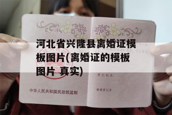 河北省兴隆县离婚证模板图片(离婚证的模板图片 真实)