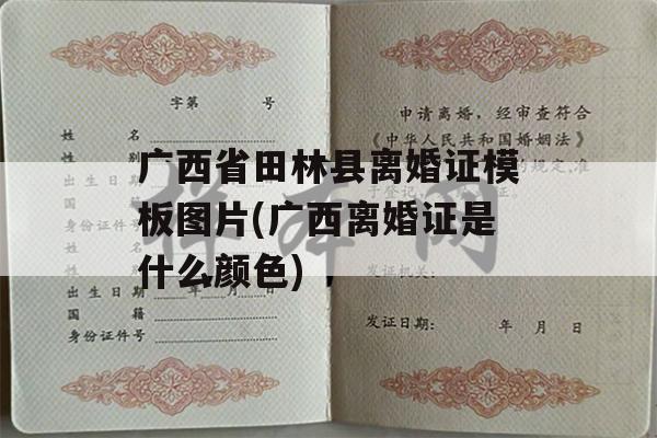 广西省田林县离婚证模板图片(广西离婚证是什么颜色)