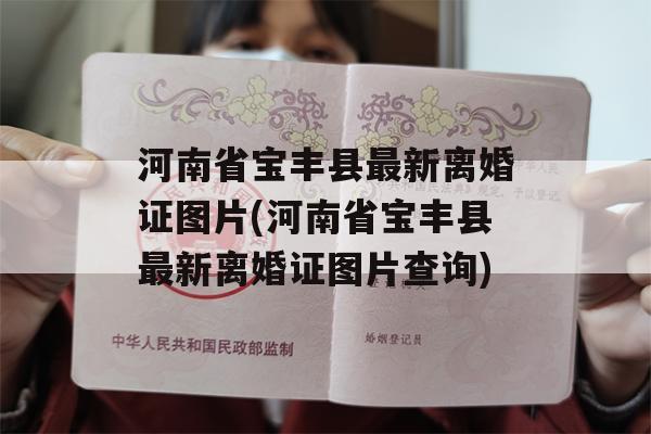 河南省宝丰县最新离婚证图片(河南省宝丰县最新离婚证图片查询)