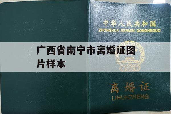 广西省南宁市离婚证图片样本