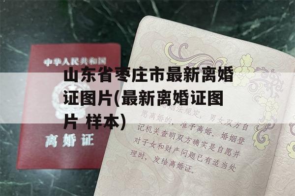 山东省枣庄市最新离婚证图片(最新离婚证图片 样本)