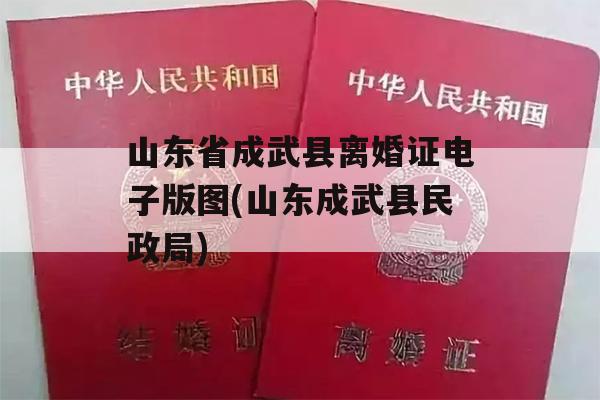 山东省成武县离婚证电子版图(山东成武县民政局)