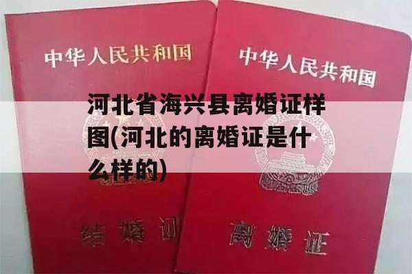河北省海兴县离婚证样图(河北的离婚证是什么样的)