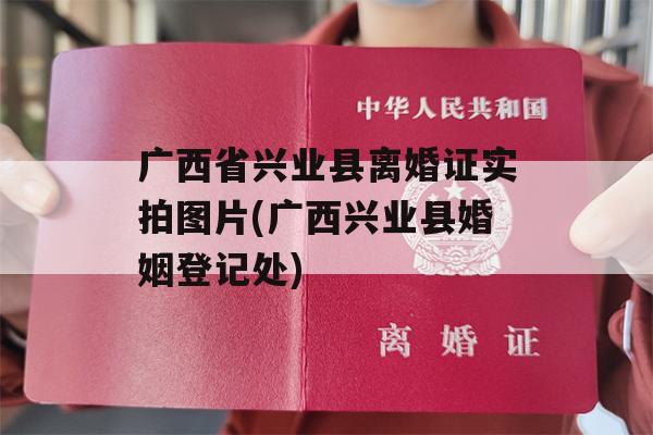 广西省兴业县离婚证实拍图片(广西兴业县婚姻登记处)