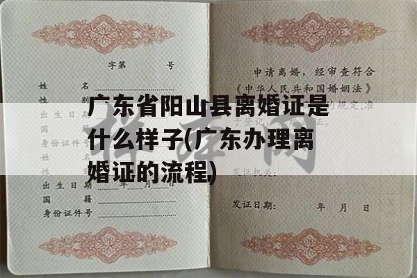 广东省阳山县离婚证是什么样子(广东办理离婚证的流程)