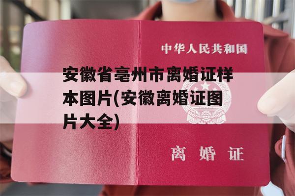 安徽省亳州市离婚证样本图片(安徽离婚证图片大全)