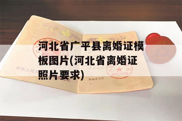 河北省广平县离婚证模板图片(河北省离婚证照片要求)