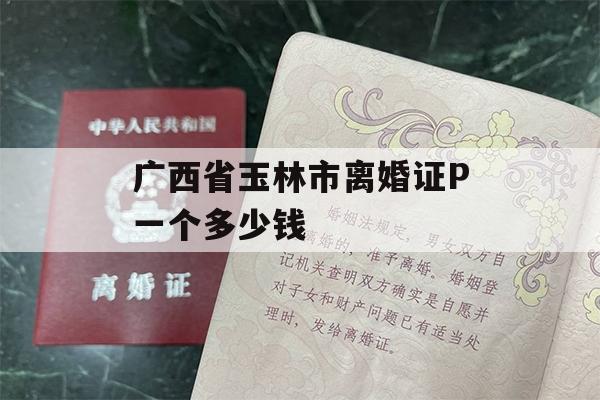 广西省玉林市离婚证P一个多少钱