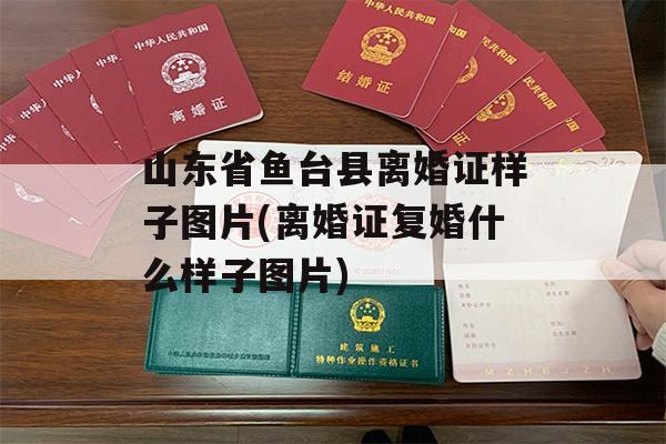 山东省鱼台县离婚证样子图片(离婚证复婚什么样子图片)