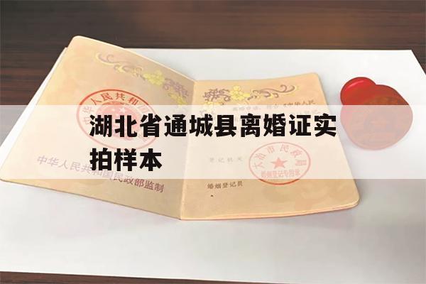 湖北省通城县离婚证实拍样本