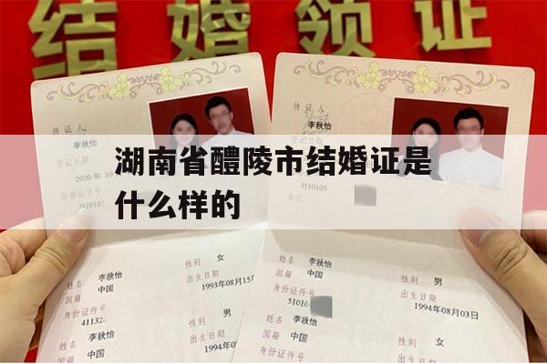 湖南省醴陵市结婚证是什么样的