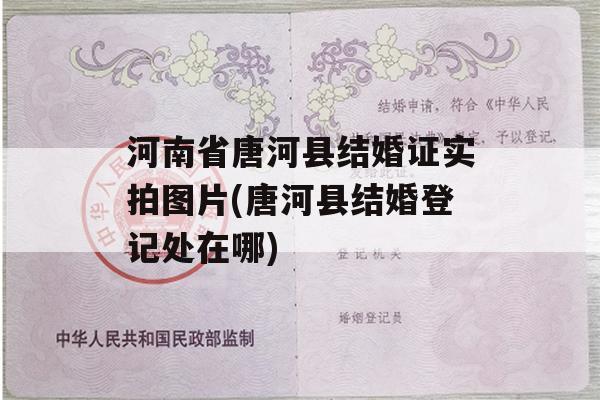 河南省唐河县结婚证实拍图片(唐河县结婚登记处在哪)