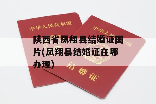 陕西省凤翔县结婚证图片(凤翔县结婚证在哪办理)