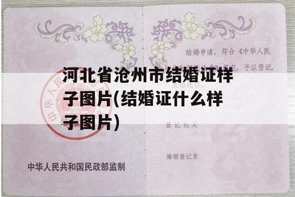 河北省沧州市结婚证样子图片(结婚证什么样子图片)