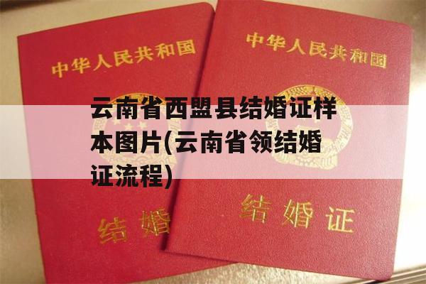 云南省西盟县结婚证样本图片(云南省领结婚证流程)