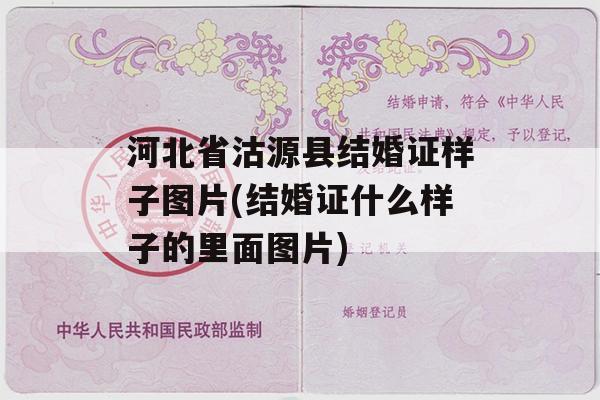 河北省沽源县结婚证样子图片(结婚证什么样子的里面图片)