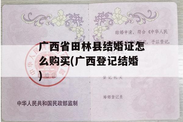 广西省田林县结婚证怎么购买(广西登记结婚)