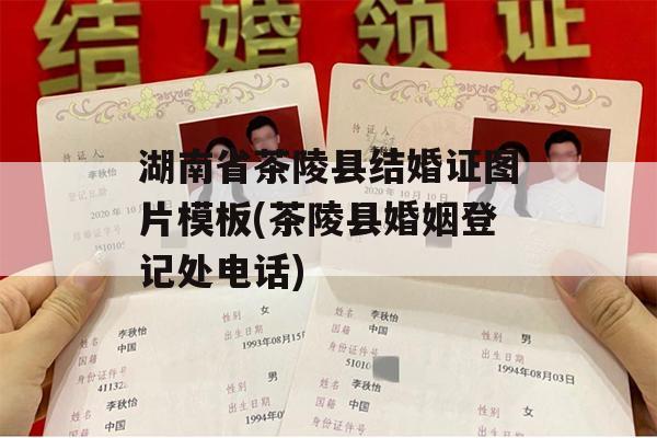 湖南省茶陵县结婚证图片模板(茶陵县婚姻登记处电话)