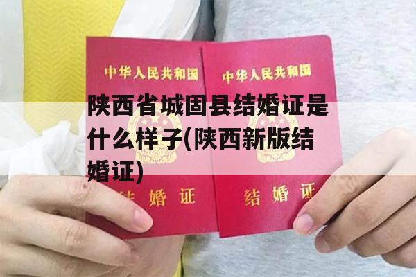 陕西省城固县结婚证是什么样子(陕西新版结婚证)