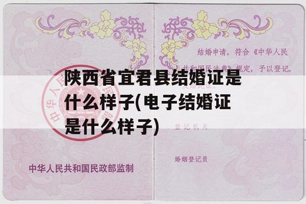 陕西省宜君县结婚证是什么样子(电子结婚证是什么样子)