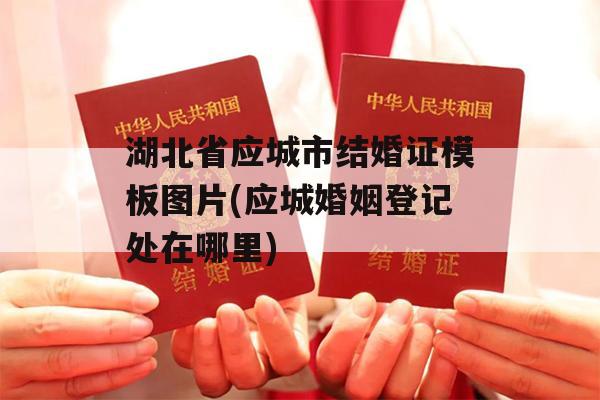 湖北省应城市结婚证模板图片(应城婚姻登记处在哪里)