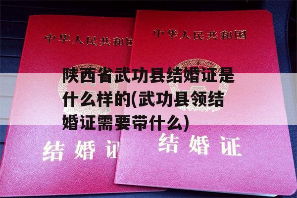 陕西省武功县结婚证是什么样的(武功县领结婚证需要带什么)