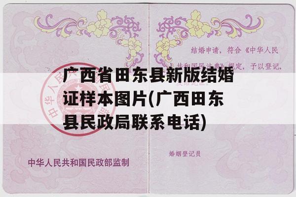 广西省田东县新版结婚证样本图片(广西田东县民政局联系电话)