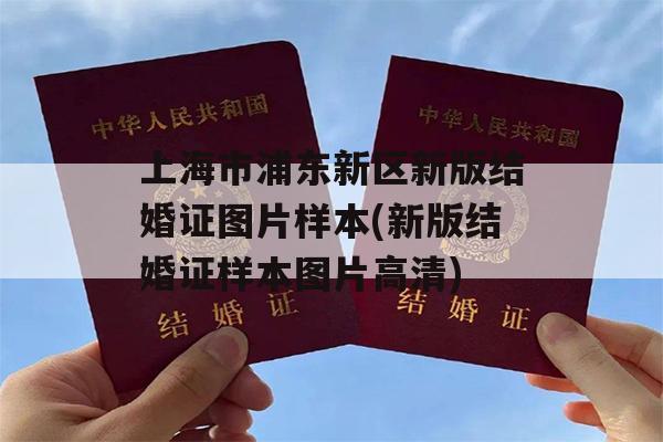 上海市浦东新区新版结婚证图片样本(新版结婚证样本图片高清)