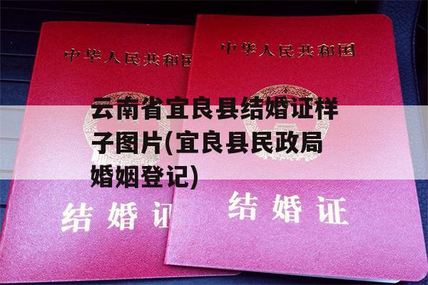 云南省宜良县结婚证样子图片(宜良县民政局婚姻登记)