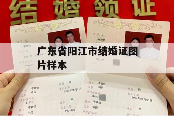 广东省阳江市结婚证图片样本