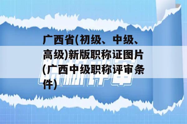 广西省(初级、中级、高级)新版职称证图片(广西中级职称评审条件)