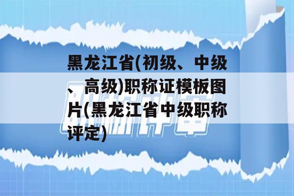 黑龙江省(初级、中级、高级)职称证模板图片(黑龙江省中级职称评定)