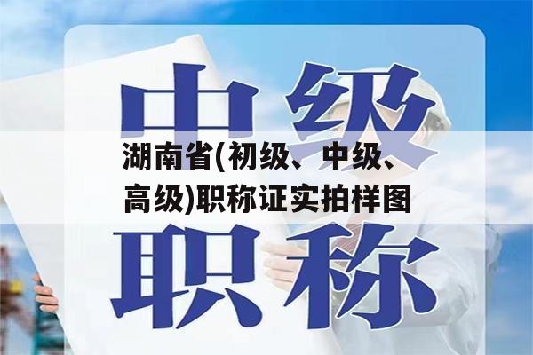 湖南省(初级、中级、高级)职称证实拍样图