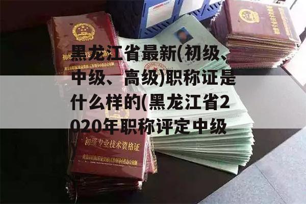 黑龙江省最新(初级、中级、高级)职称证是什么样的(黑龙江省2020年职称评定中级)