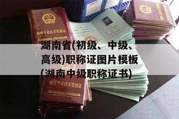 湖南省(初级、中级、高级)职称证图片模板(湖南中级职称证书)