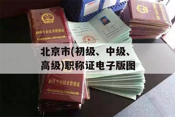 北京市(初级、中级、高级)职称证电子版图