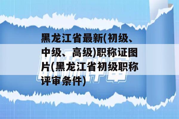 黑龙江省最新(初级、中级、高级)职称证图片(黑龙江省初级职称评审条件)