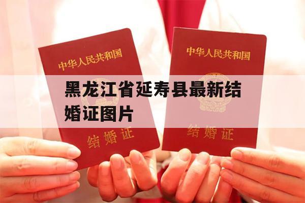 黑龙江省延寿县最新结婚证图片
